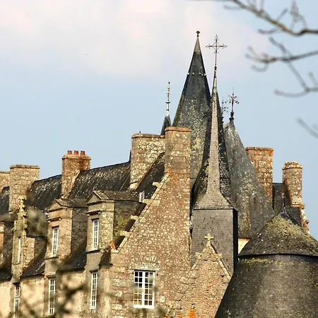 Couette-café Chateau De Bourgon *