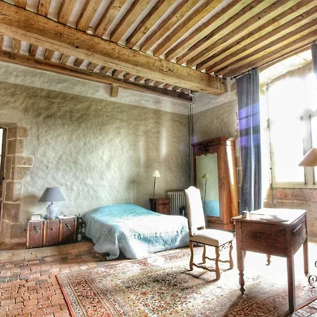 Chateau De Bourgon 4* Montourtier