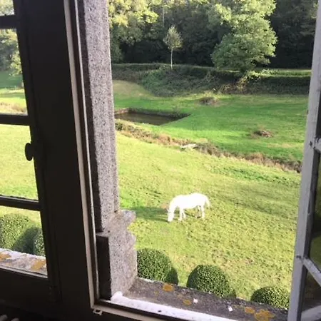 Couette-café Chateau De Bourgon 4*