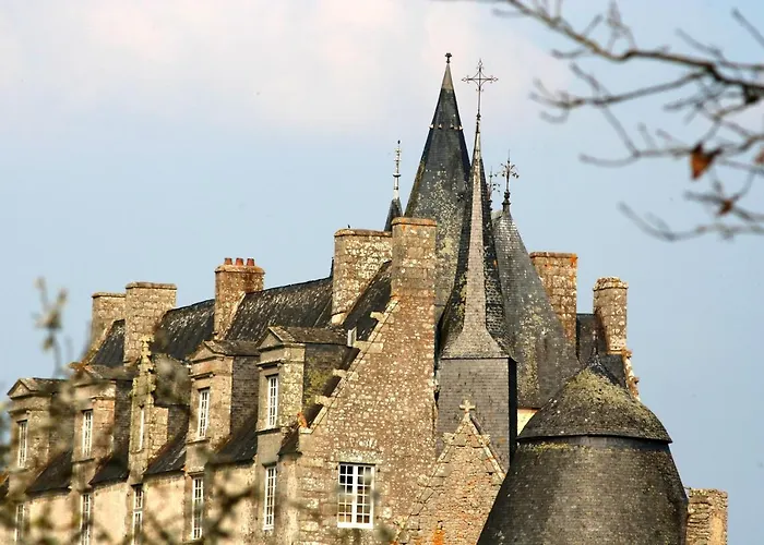 Couette-café Chateau De Bourgon 4*