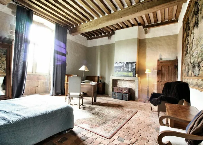 Chateau De Bourgon 住宿加早餐酒店 4*