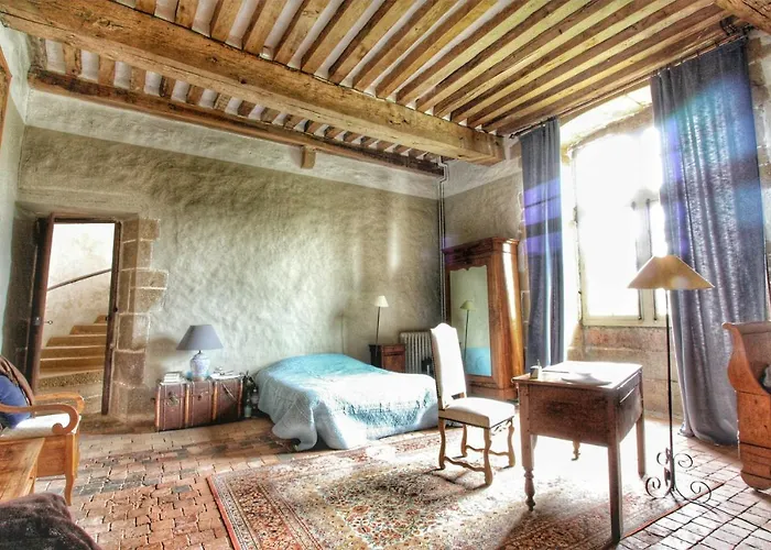 Chateau De Bourgon 4* Montourtier