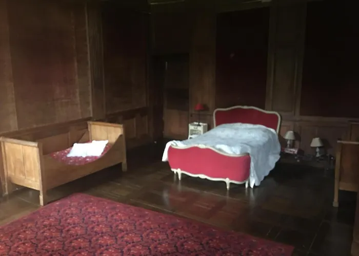 Chateau De Bourgon 4*