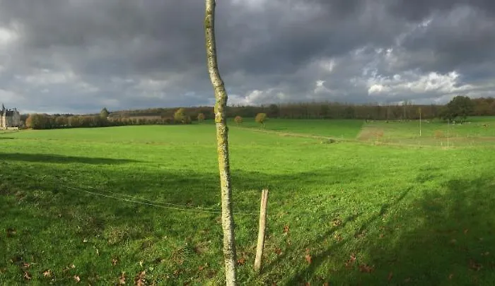 Couette-café Chateau De Bourgon Montourtier