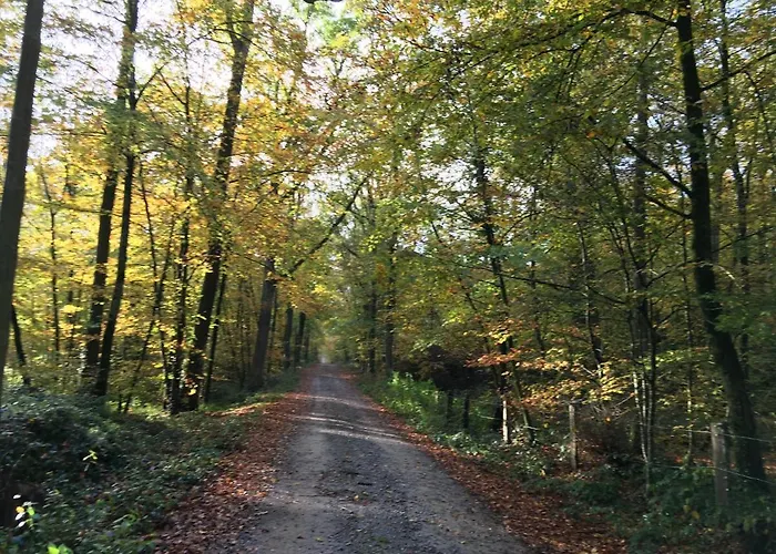 住宿加早餐酒店 Chateau De Bourgon 4*