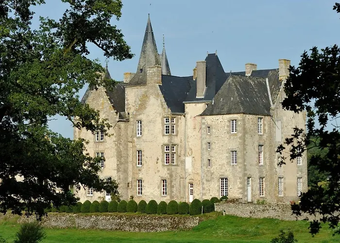 Couette-café Chateau De Bourgon 4*